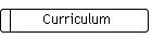 Curriculum